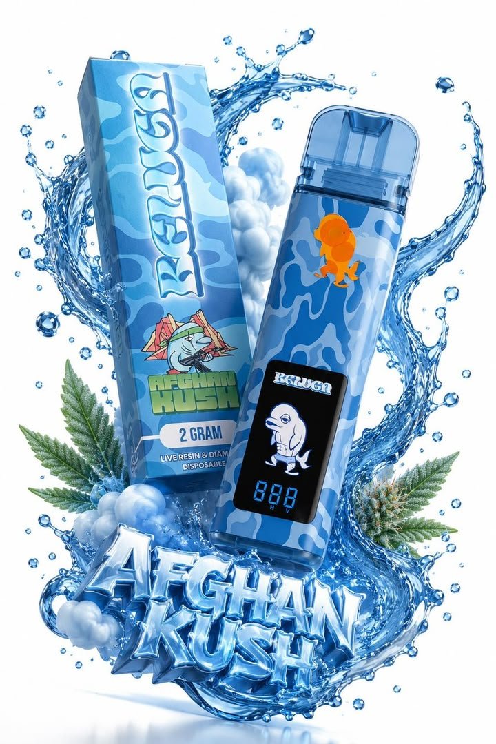 Beluga Disposable Beluga Disposable